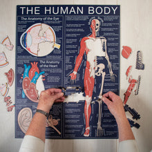 Load image into Gallery viewer, The Human Body  Puzzle