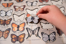 Load image into Gallery viewer, Butterflies of the British Isles Puzzle