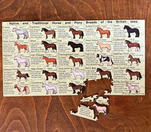 Load image into Gallery viewer, Native and Traditional Horse and Pony Breeds of the British Isles Puzzle