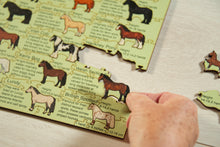 Load image into Gallery viewer, Native and Traditional Horse and Pony Breeds of the British Isles Puzzle