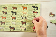 Load image into Gallery viewer, Native and Traditional Horse and Pony Breeds of the British Isles Puzzle