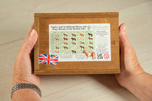 Load image into Gallery viewer, Native and Traditional Horse and Pony Breeds of the British Isles Puzzle