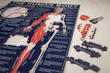 Load image into Gallery viewer, The Human Body  Puzzle